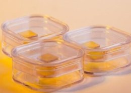 Lithium gallate LiGaO2 single crystal substrate